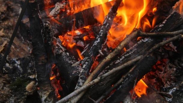 20 очагов у домов: МЧС предотвратило угрозу в Новосибирской области