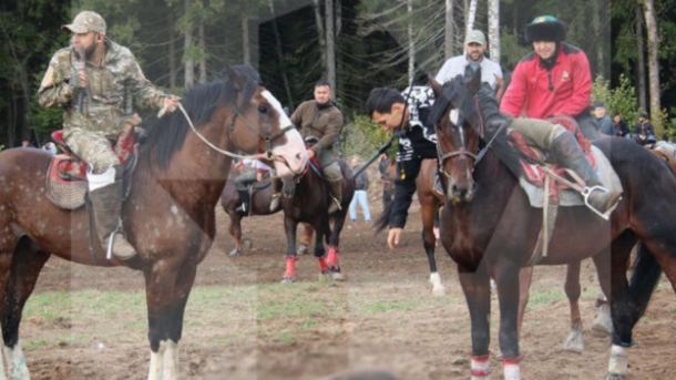 500 мигрантов на лошадях устроили игрища с тушей козла в Подмосковье