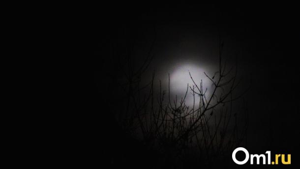 Луна близко: жители Омска смогут увидеть необычное природное явление