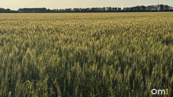 В Омской области официально отменили режим чрезвычайной ситуации