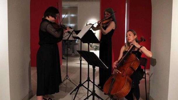 Академия искусств в Новосибирске может оказаться под угрозой закрытия