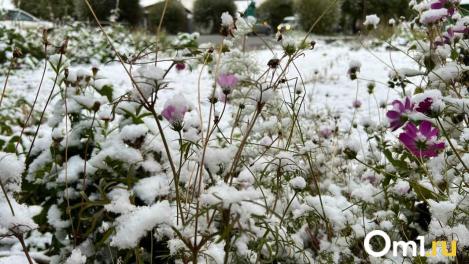 Омскую область накроет аномальный холод