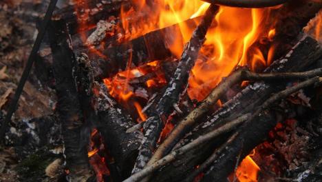 В МЧС назвали меры противопожарной безопасности: готова ли Новосибирская область к отопительному сезону?