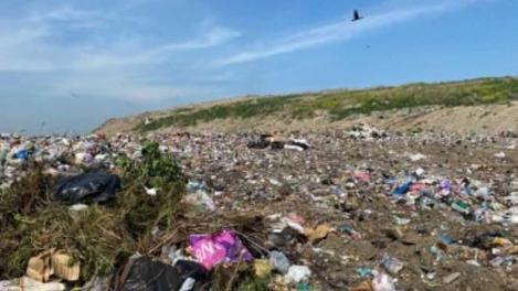В Новосибирске мужчину обвиняют в убийстве и расчленении женщины