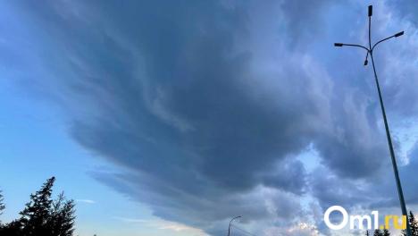 Омичам рассказали, что делать, если замечен беспилотник