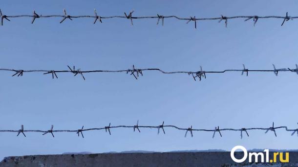 Омская мошенница, обманувшая сирот на 13 миллионов рублей, объявлена в федеральный розыск