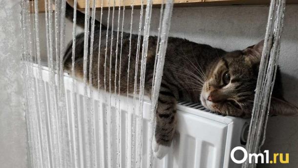 Сергей Шелест рассказал, когда появится отопление в Нефтяниках