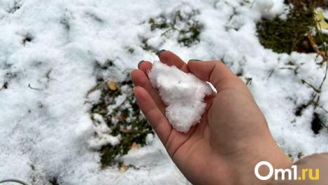 В Новосибирской области прекратятся снегопады, но ударят морозы до –10 градусов