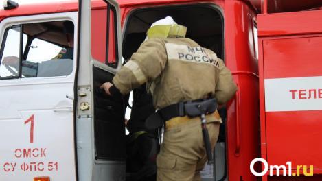 Крупный пожар в Омске: два человека пострадали при эвакуации из горящего дома