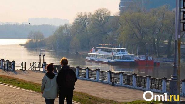 Приводят к хроническим бронхитам: пульмонолог из Омска развеял мифы о безопасности вейпов