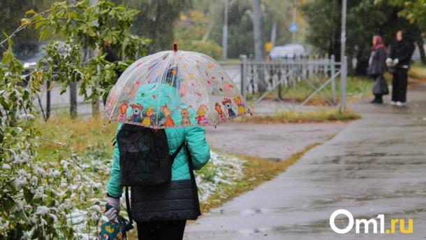 Пора доставать зимние вещи? В Омск идёт мощное похолодание до -7