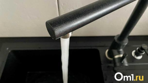 В омском приюте для собак закончилась вода: волонтёры бьют тревогу