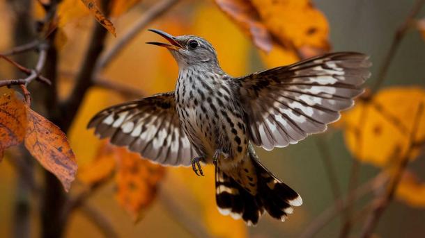 Чувствуете апатию — это не депрессия. Что делать, чтобы не «отлететь кукухой» осенью