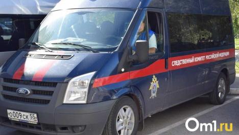 Бастрыкин поручил возбудить дело из-за ребёнка, которому пробило голову на омском аттаркционе