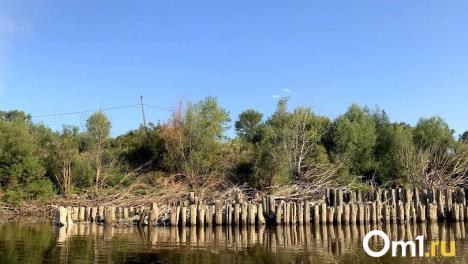 Правительству передадут участок для строительства нового моста в Омске