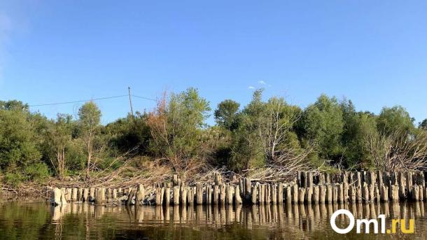 Правительству передадут участок для строительства нового моста в Омске