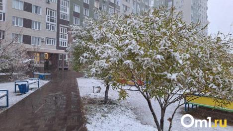 Омск встал в пробках после первого снега