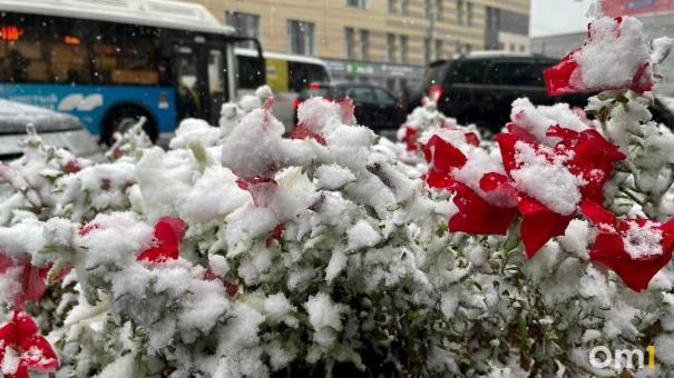Это уже зима? Синоптики дали прогноз, растает ли первый снег в Омске