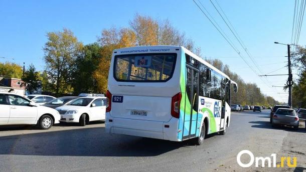 Сезон завершён: в Омске перестанут ходить садовые автобусы