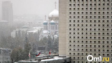 Снежная сова и замёрзшая зелень: посмотрите, как Омск укутался в первый снег