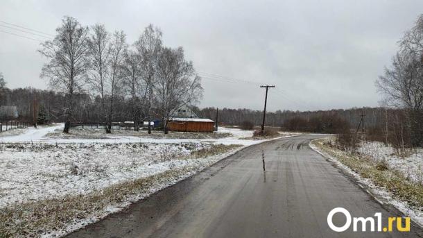 В Омске появятся две новые улицы в квартале для многодетных семей