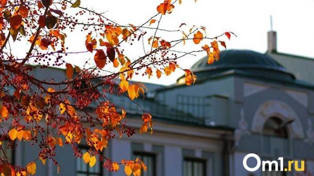 Синоптики назвали дату потепления в Омской области