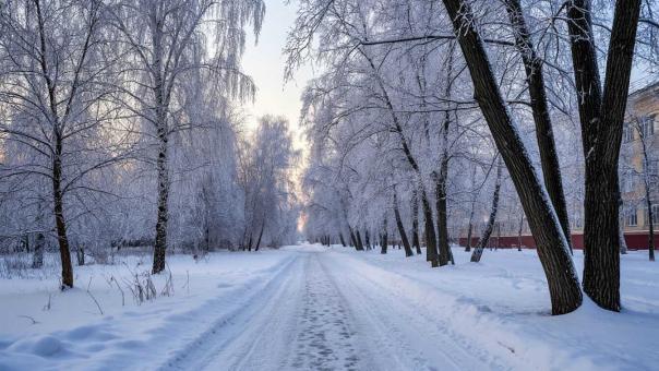 Синоптики предупредили о морозах до -14° в Новосибирской области