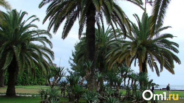 В Омске резко взлетели цены на путёвки