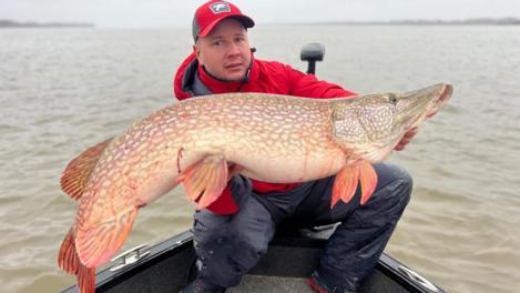 Что скрывается в глубинах Оби: щуку весом больше 18 кг поймал новосибирец