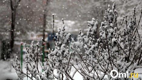 Синоптики предупреждают омичей о мощном похолодании на этой неделе