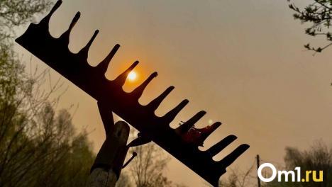 В Омске помощники по даче могут зарабатывать почти 60 тысяч рублей