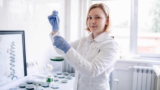 В Омске создают десерты с микроводорослью, которые укрепляют здоровье