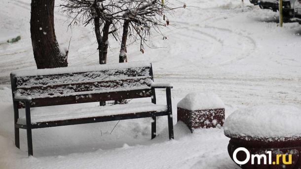 Вильфанд спрогнозировал в Омске аномальные морозы в октябре