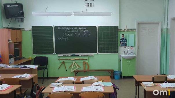 В Омске из-за ОРВИ приостановили занятия в школах и детсадах