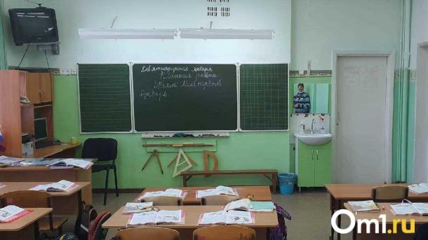 В Омске из-за ОРВИ приостановили занятия в школах и детсадах