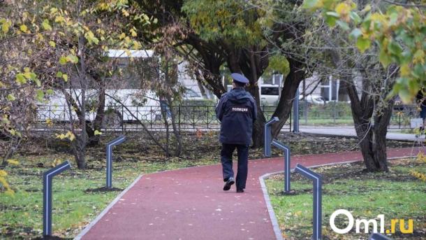 Напал на полицейского: в Омске вынесли приговор жителю Германии
