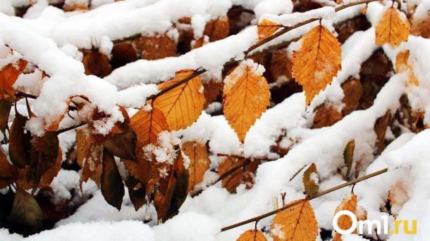 Синоптики спрогнозировали в Омске мощный удар холода
