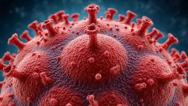 Российская вакцина от ротавируса может стать общедоступной в 2026 году