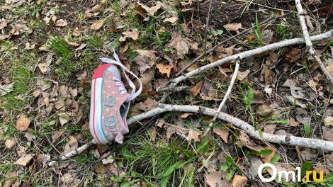 В Новосибирске нашли ребёнка, который не вернулся из школы