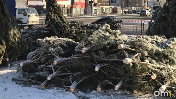 Четыре точки в центре: в Омске назвали адреса ёлочных базаров