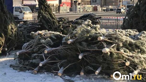 Четыре точки в центре: в Омске назвали адреса ёлочных базаров