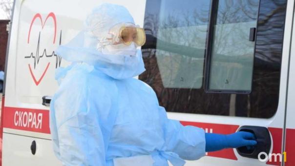 Новый очаг бешенства обнаружили в Новосибирской области