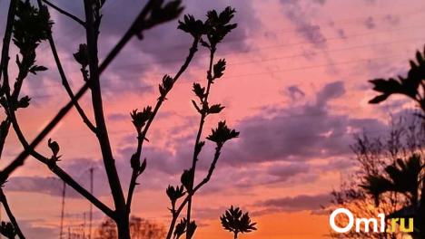 Как магнитные бури влияют на организм? Врач рассказала омичам об опасности этого явления