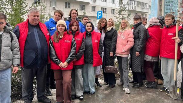 В Октябрьском районе Новосибирска появилась новая еловая аллея
