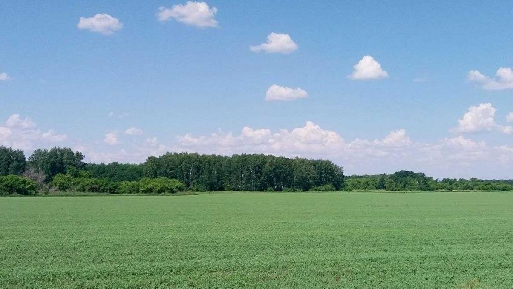 Аграриям предлагают использовать большие участки в Омской области