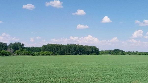 Аграриям предлагают использовать большие участки в Омской области