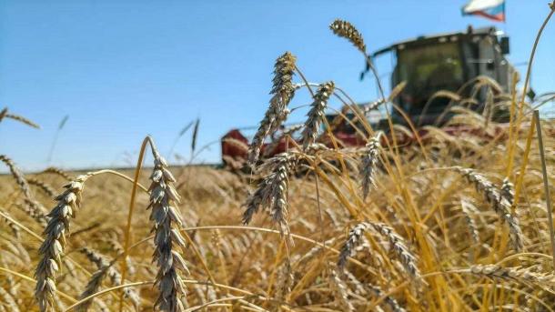 Аграрии Омской области убирают урожай, несмотря на плохую погоду