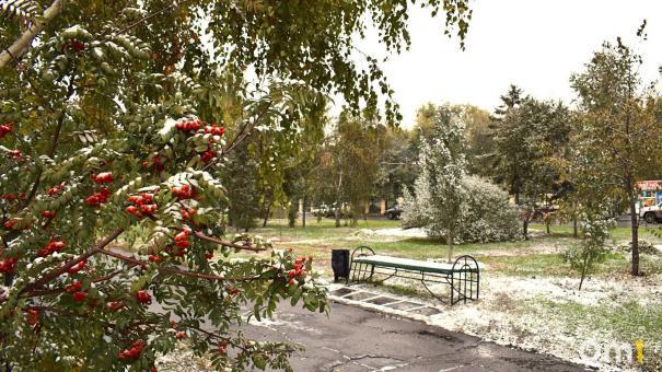 Согреемся? В Гидрометцентре дали неожиданный прогноз на конец осени в Омске
