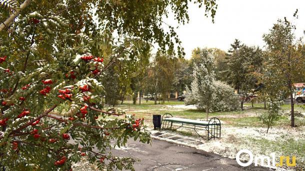 Согреемся? В Гидрометцентре дали неожиданный прогноз на конец осени в Омске