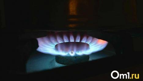 В Омске могут возбудить уголовное дело из-за отсутствия газа в домах